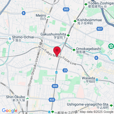 Google Maps static image